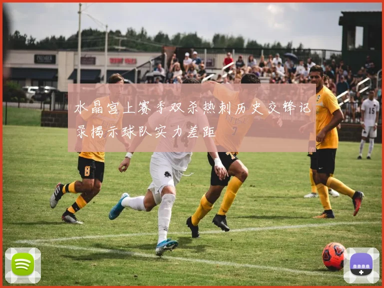 水晶宫上赛季双杀热刺历史交锋记录揭示球队实力差距
